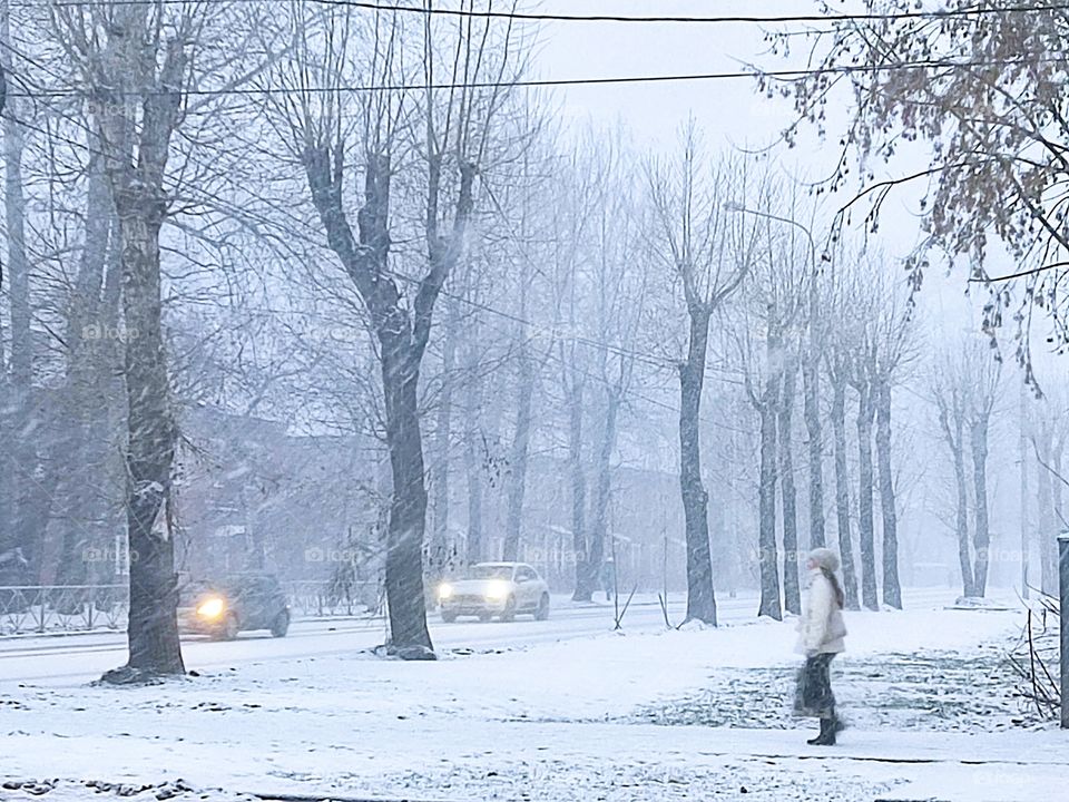 blizzard метель