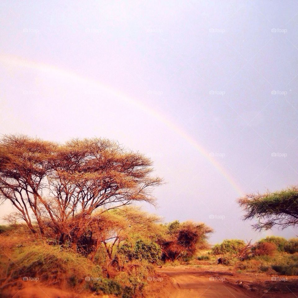 lake manyara rainbow