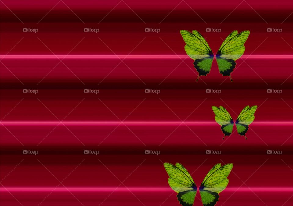Green butterfly on the red background