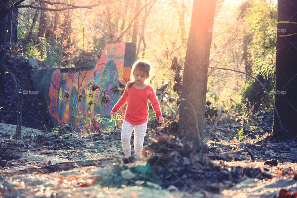 Child, People, Fall, Tree, Outdoors