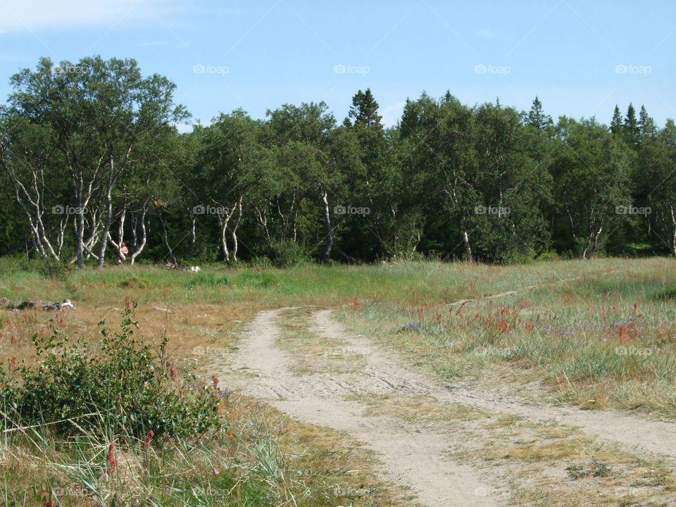 trip to Russia and Solovki-2011