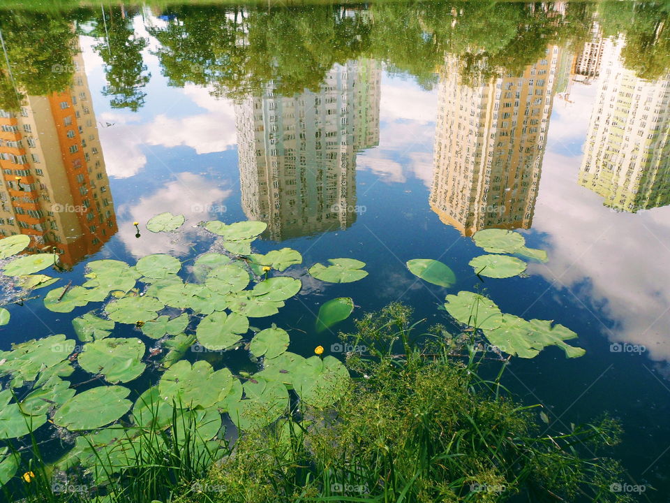 mirror image of houses in the lake of the park of the city of Kiev