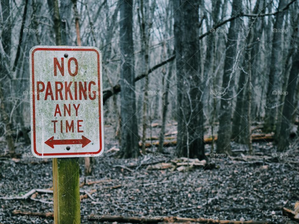 No parking sign in the middle of bare trees