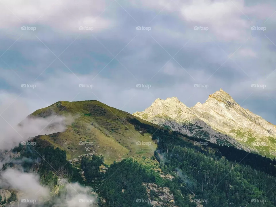 mountain view in summer