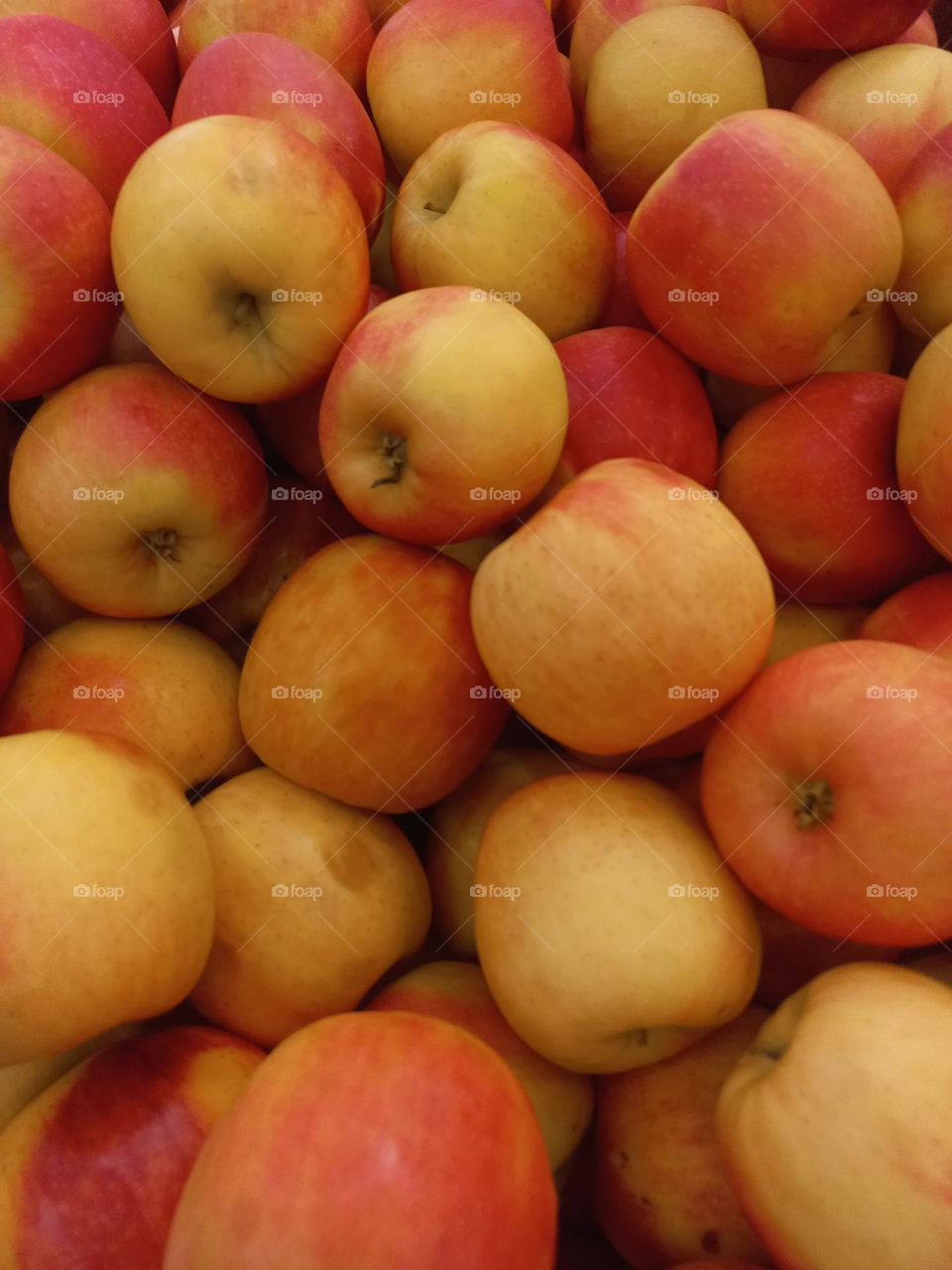 Maçãs Gala, doce, macia é uma das mais ricas em antioxidantes. A maçã  é uma fruta saborosa  e prática; quem  a consume regularmente  se beneficiar de várias  vitaminas, minerais e compostos bioativos.