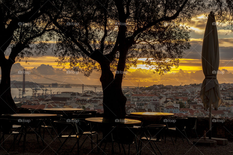 landscape table chair tree by jmiguel