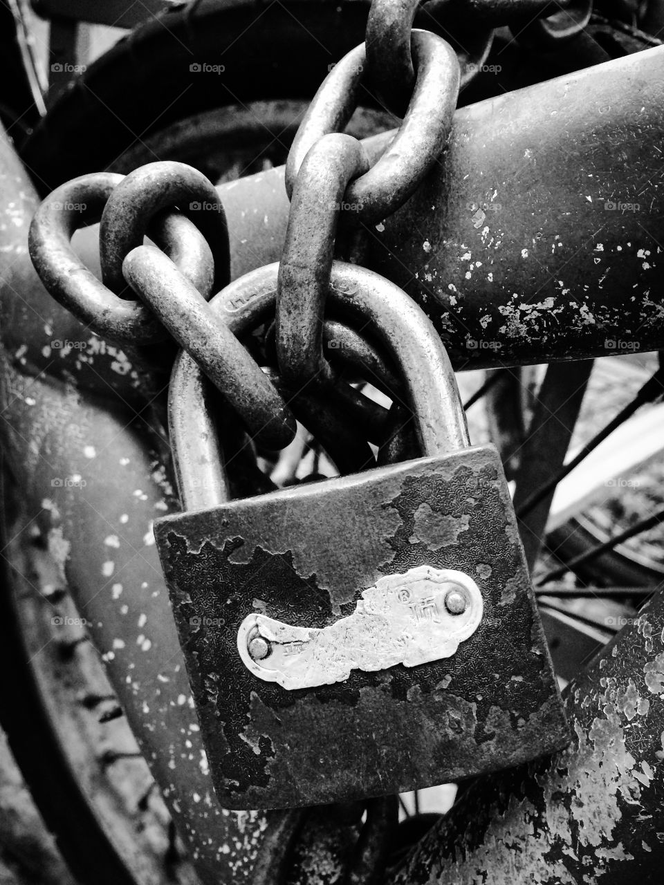 Close-up of padlock and chain