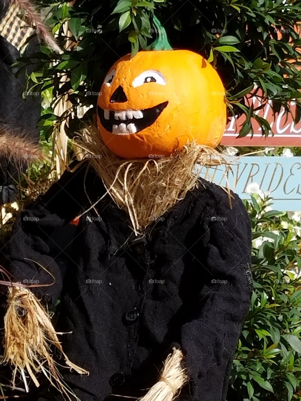 Pumpkin head scarecrow for Halloween