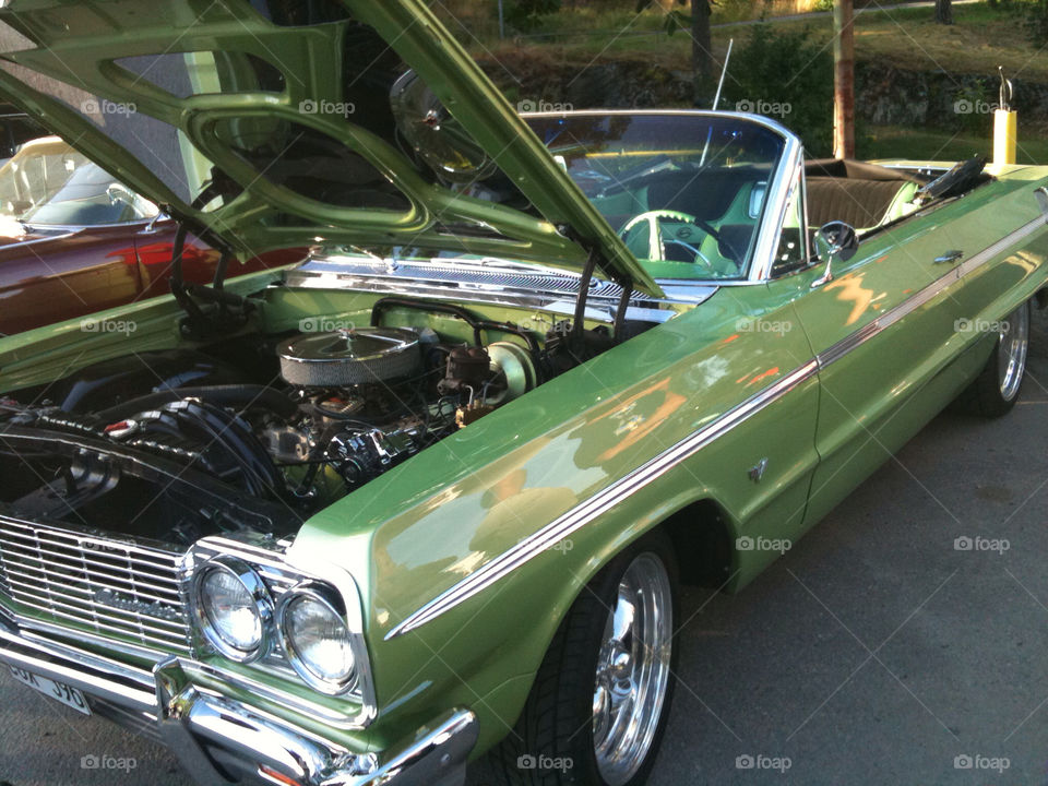 green sweden car summer by zebra