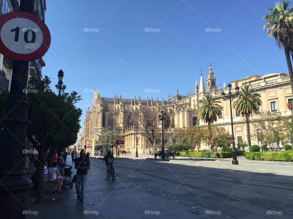 Sevilla, La Catedral 