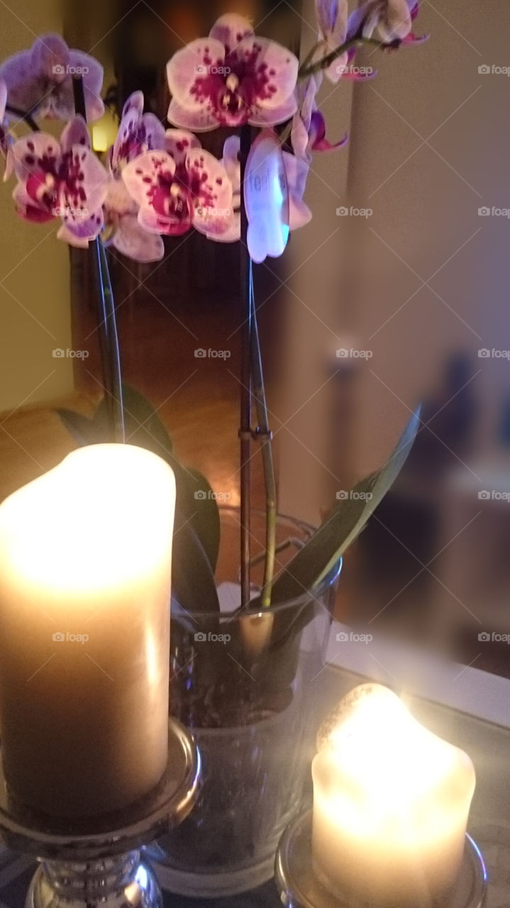 All the things that truly matter, beauty, love, creativity, joy and inner peace arise from beyond the mind.”
~ Eckhart Tolle