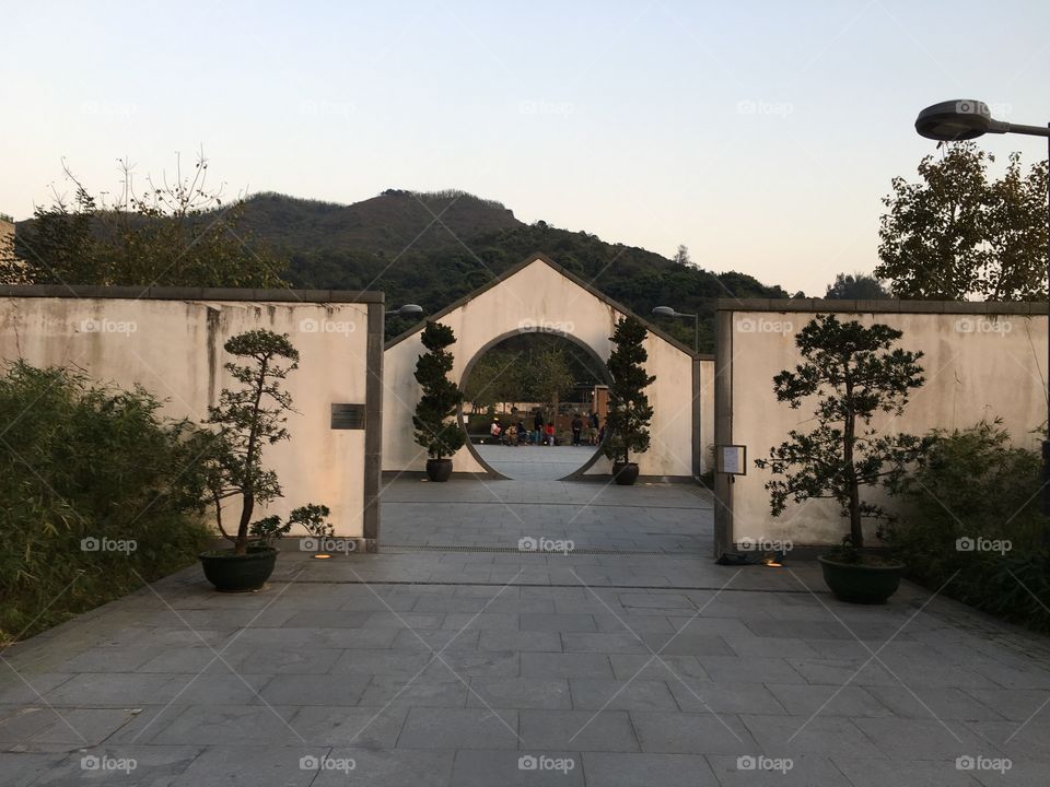 Garden: Hong Kong