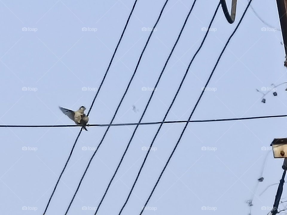 playing with each other with no time limit