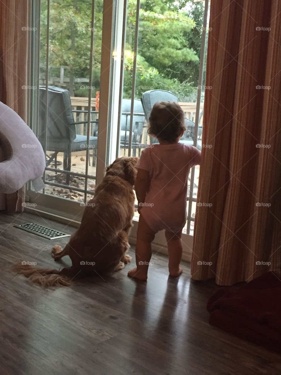 A baby and her dog looking out the sliding glass door 