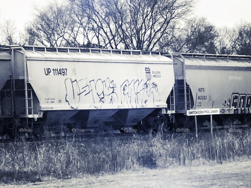 Train cars, black and white