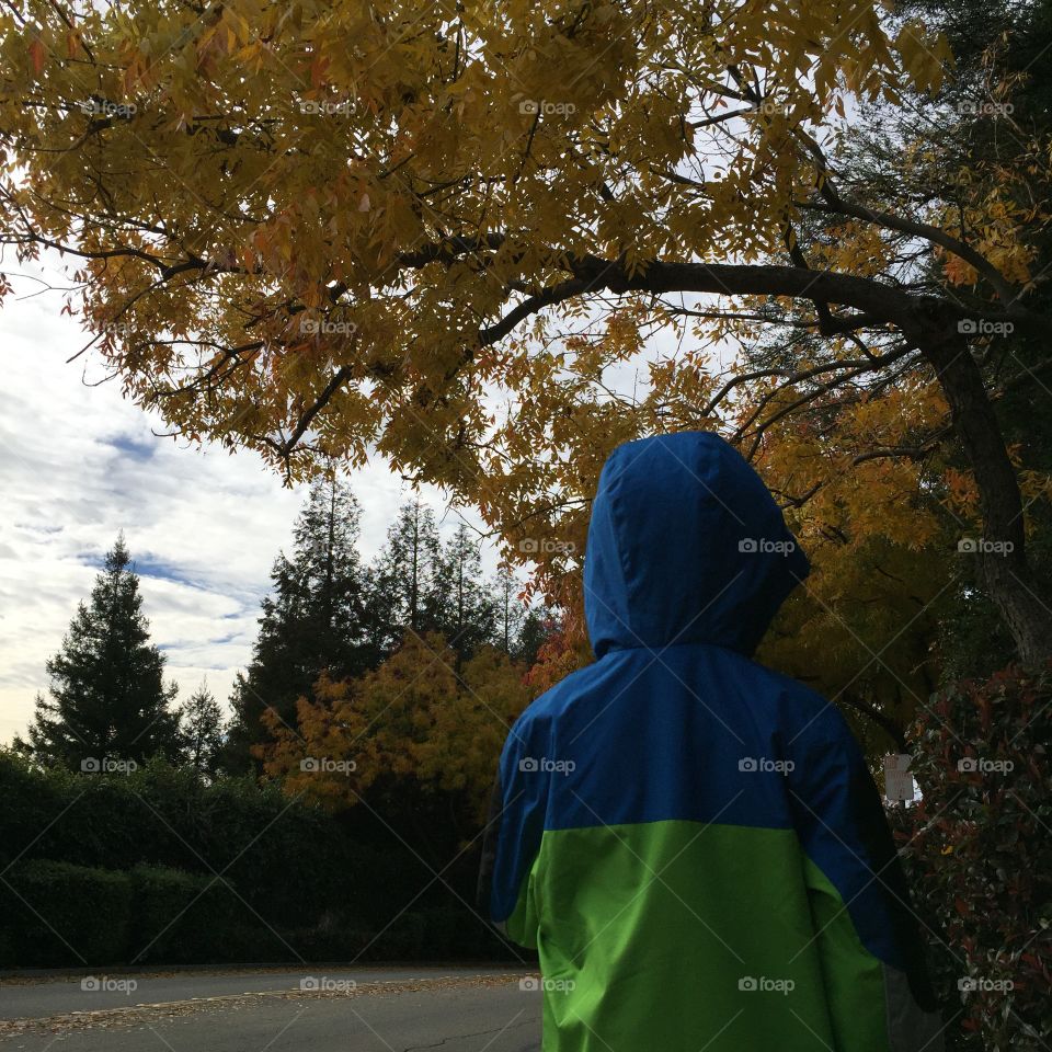 Kid admiring autumn colors