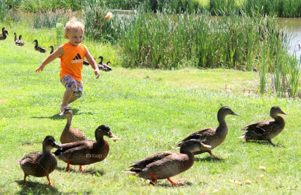 Cute boy with mallard duck near lake