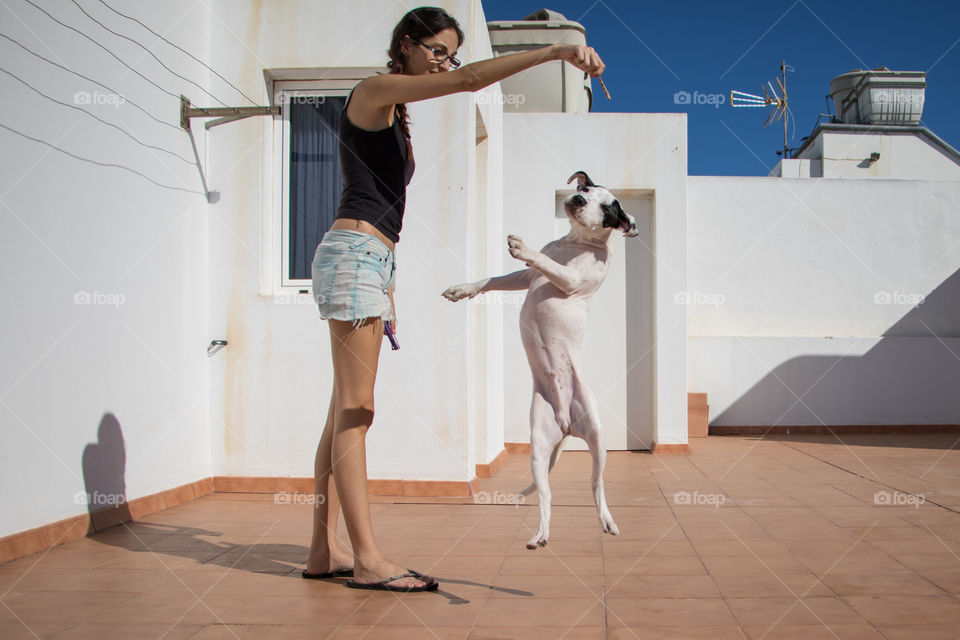 Young woman playing with dog in terrace