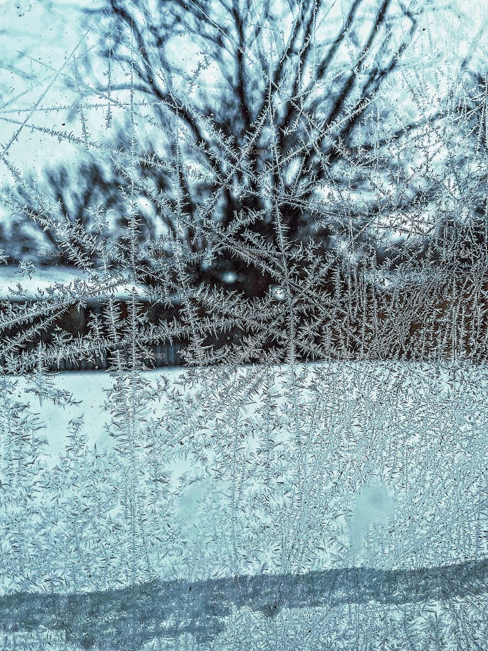 Jack Frost on the window pane, frosty designs on the window pane, abstract frost designs in the cold winter, frosty abstracts, macro shot of frost, abstract designs in nature, window pane art, fun with frost, art with nature 