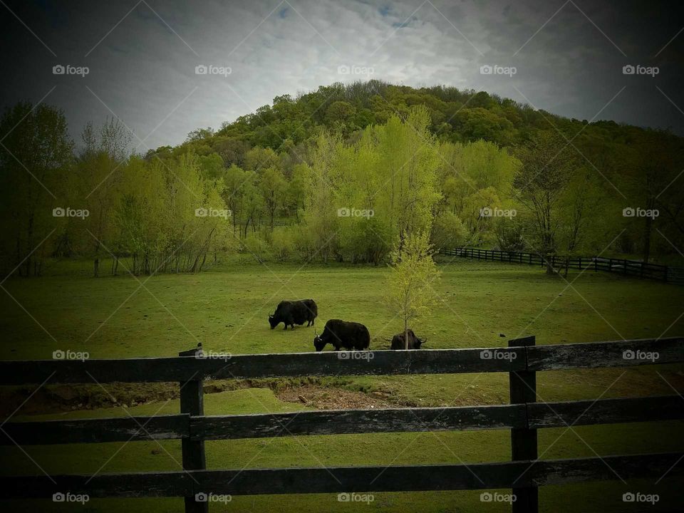 Driving the Back Roads and enjoying everything around us