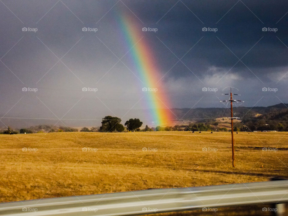 Rainbow in the field