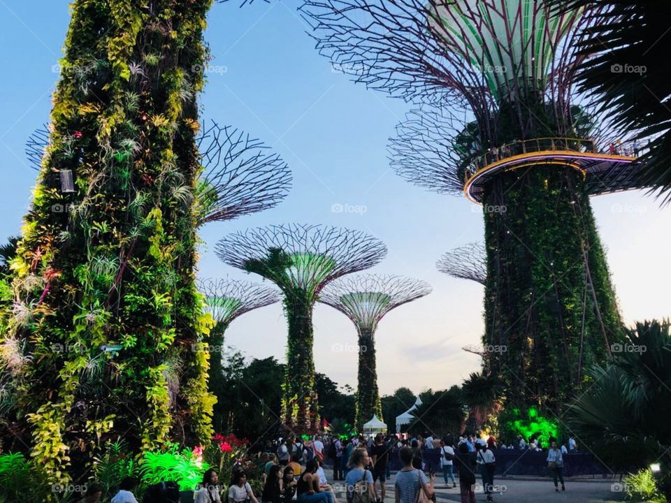 Прогулки в Сингапуре