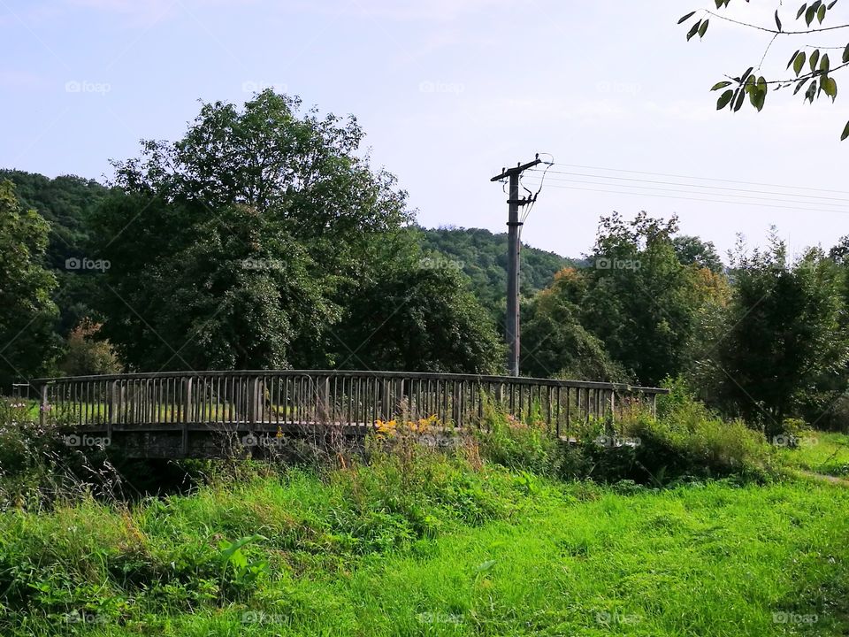 Holzbrücke