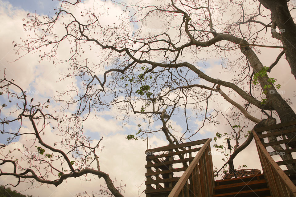 tree house in the fall