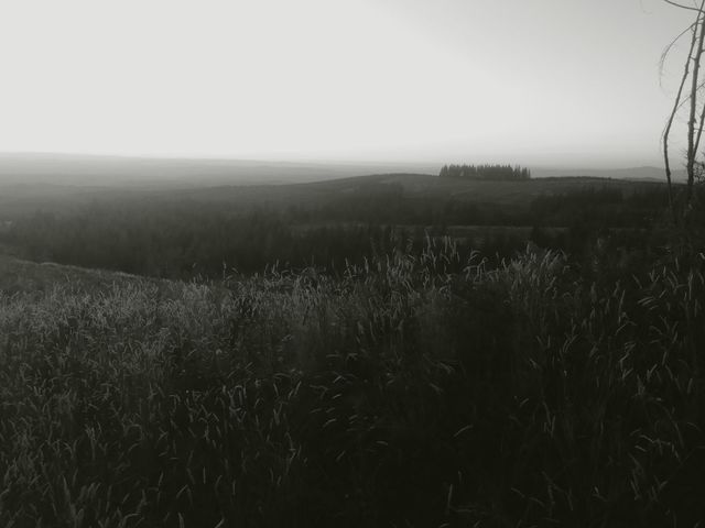 smokey haze. black and white Oregon smoke filled sky.