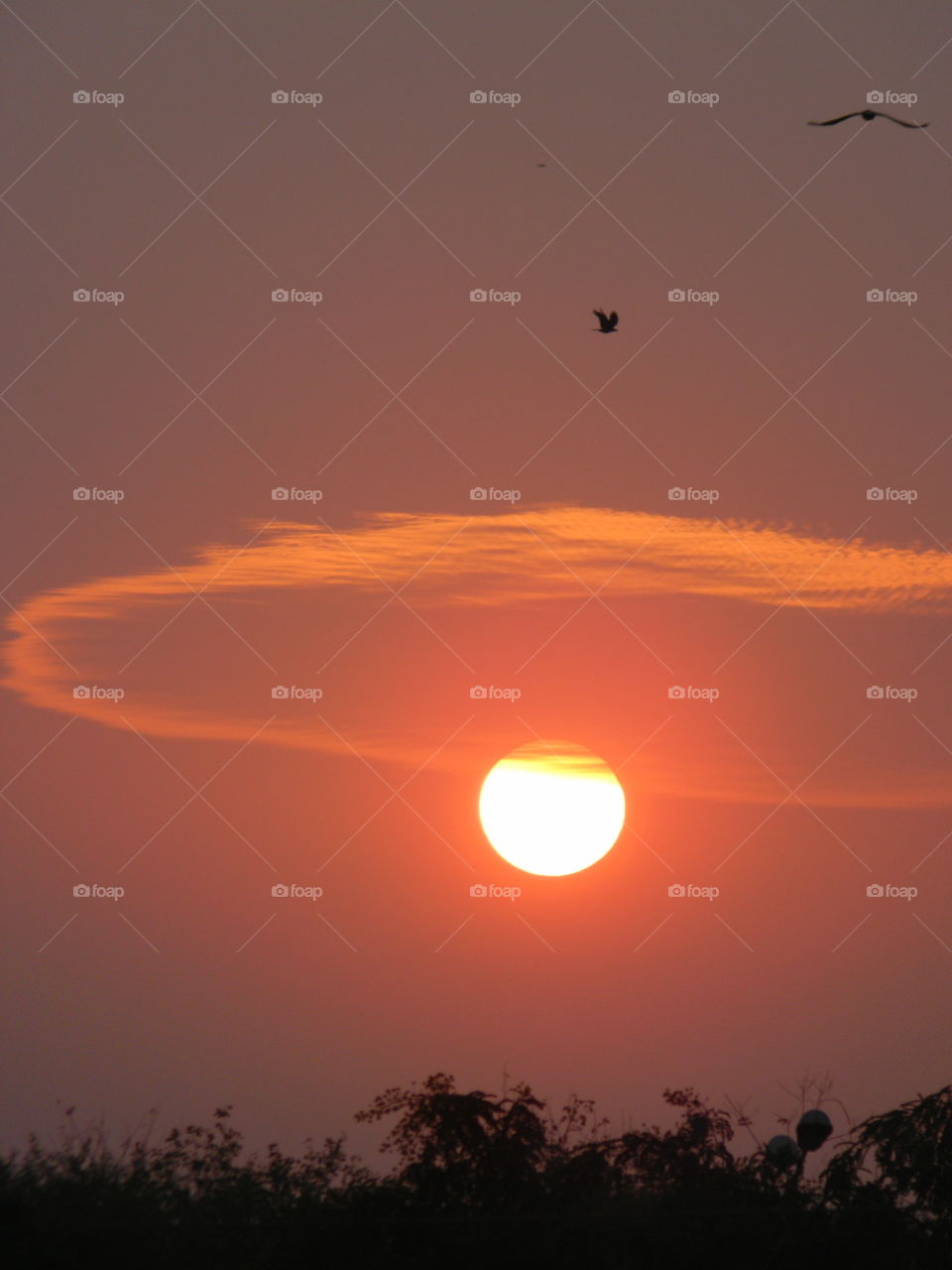 Captured this shot while clouds were floating around the Sun while the Sun was about to set. These flying birds no doubt enhanced the beauty of this shot.✨📸