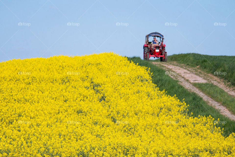 Tractor and a farmer 