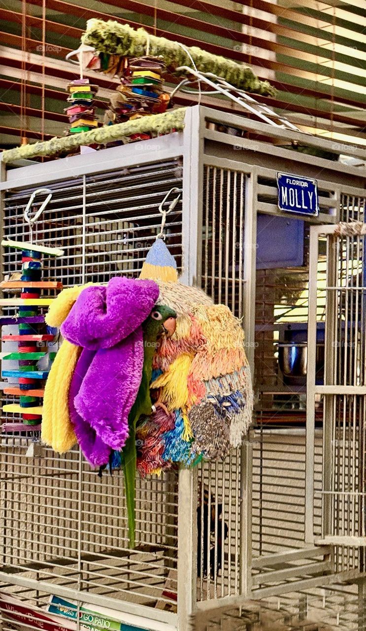 Mollys nighttime hideaway with complimentary coloredp drapes.