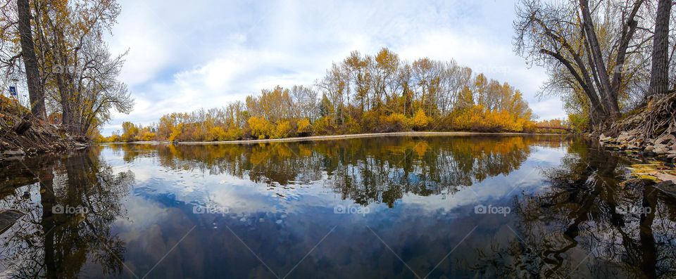 Reflections on Fall