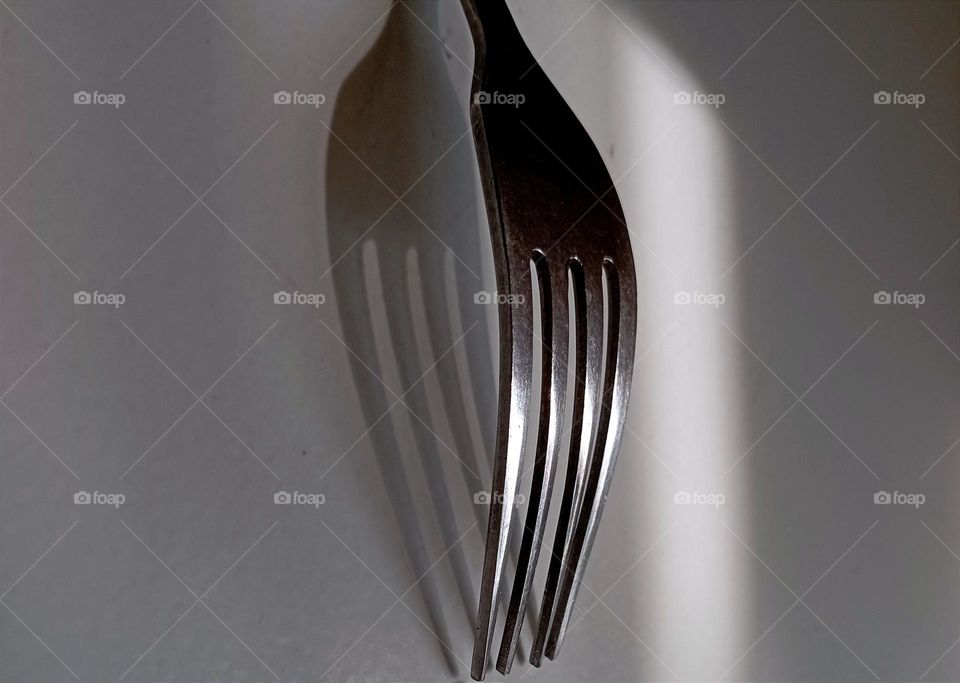 Fork