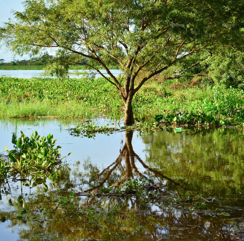 reflection