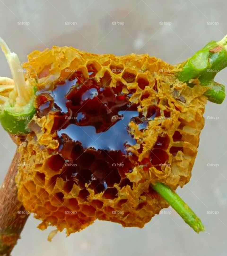 Honey 🍯 i got it with difficulties