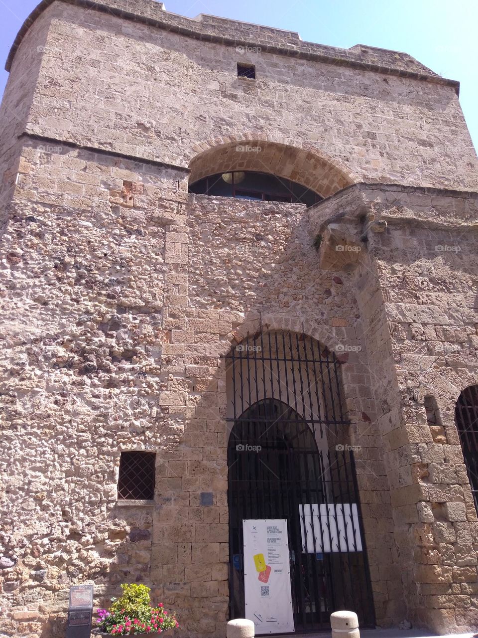 Editors' Choice - Photo of the Week