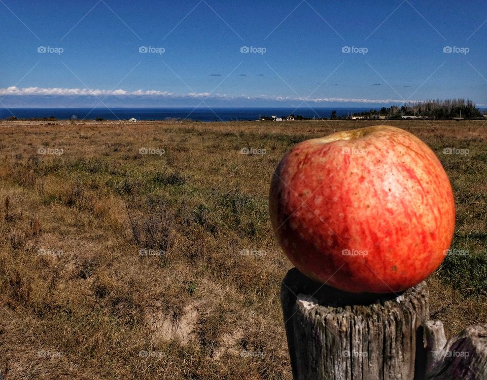 You may see Issik Kul lake on far end.