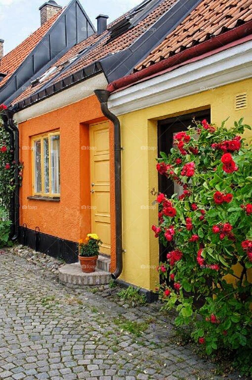 Cobblestone street Skåne Sweden