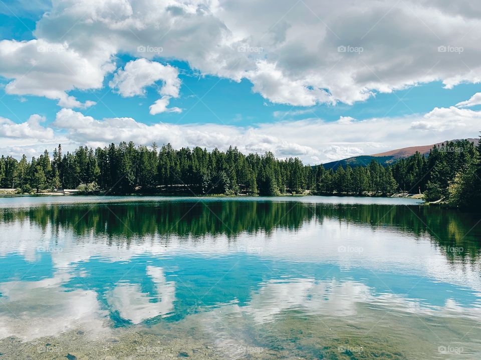 A perfect reflection of the trees and sky on a perfectly still lake in Colorado 