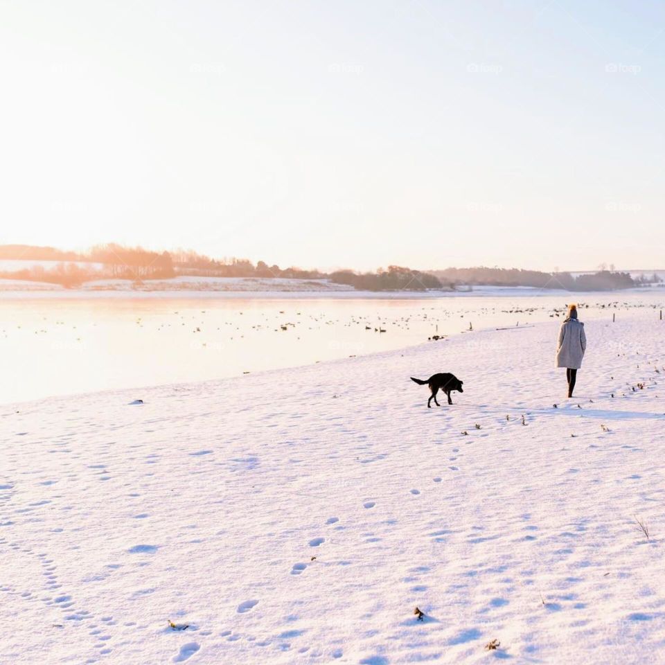 walking woofs, walking with dog, nice friend