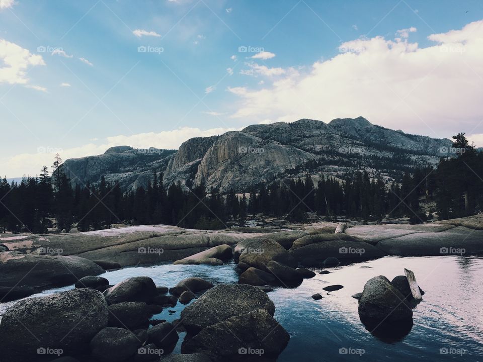 Summer at Yosemite National Park