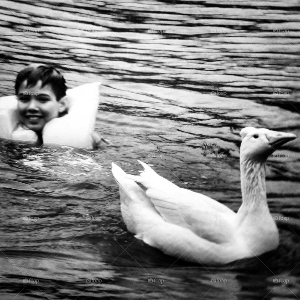 swim buddies. not your usual flock