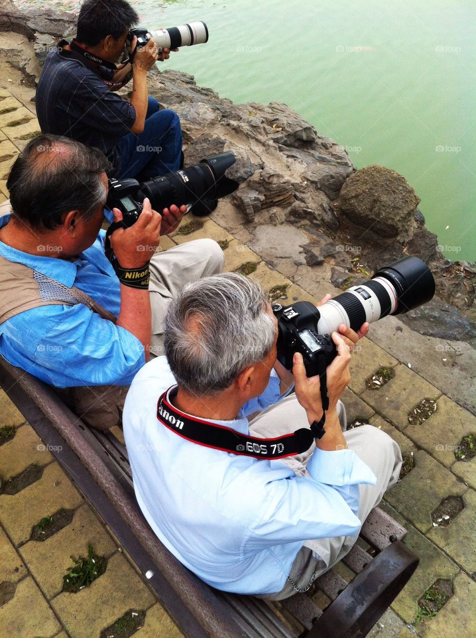 A group of shutterbugs