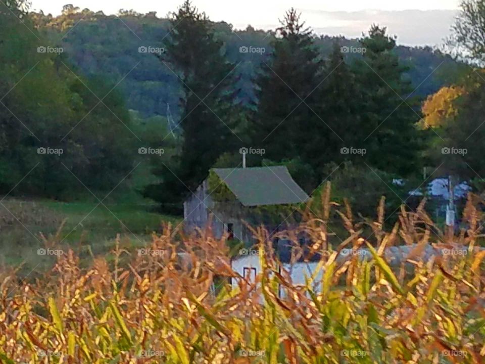 Driving the Back Roads and enjoying everything around us.  Fall adds color all around us.