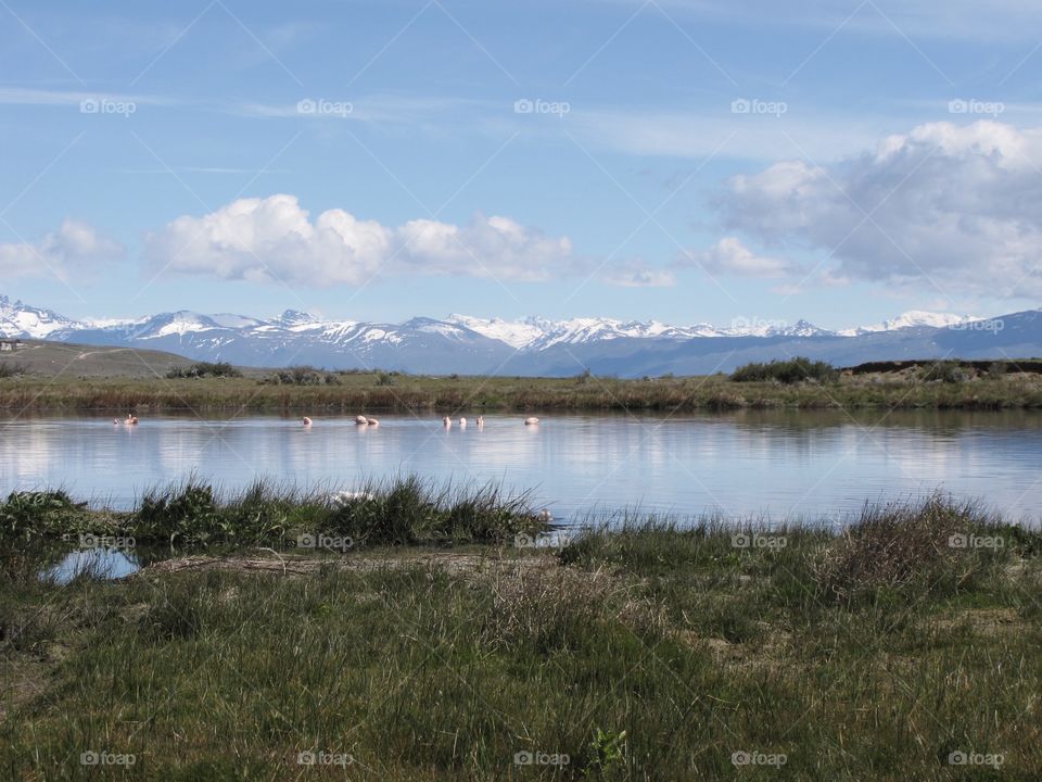 Laguna Nimez