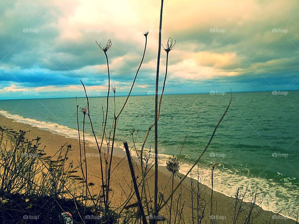 Cold Long Island sound