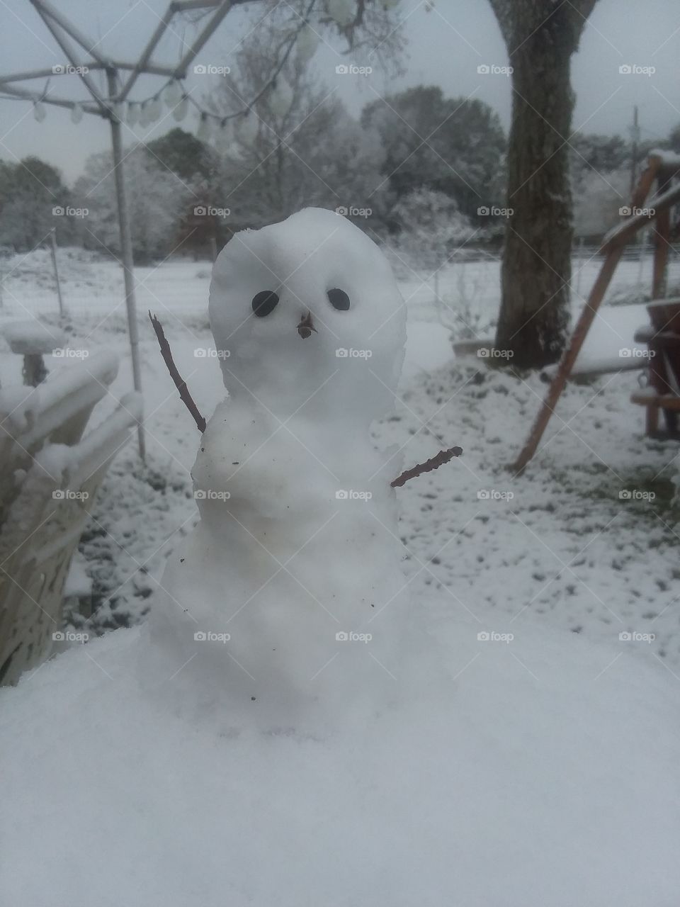 Texas snowman
