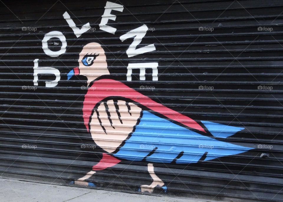 Jolene - Mural, New York 