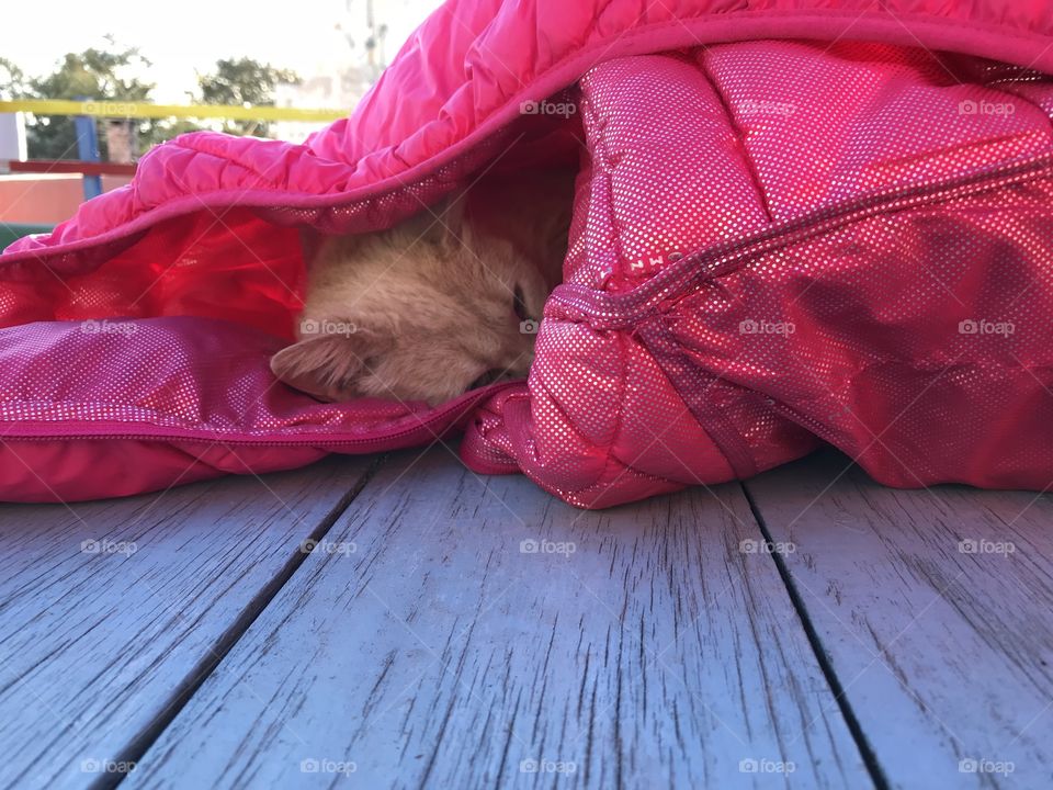 Sleep in the jacket